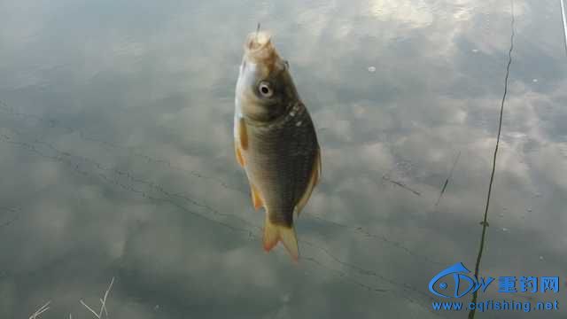 IMG_20131114_165311.jpg