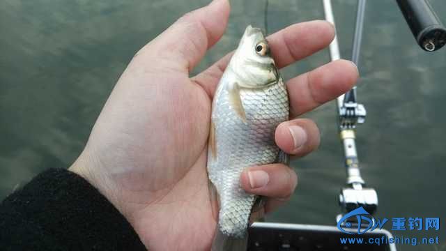 IMG_20131114_165713.jpg