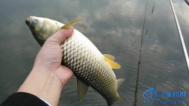 IMG_20131114_165937.jpg