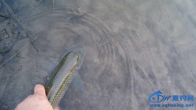 IMG_20131114_165951.jpg