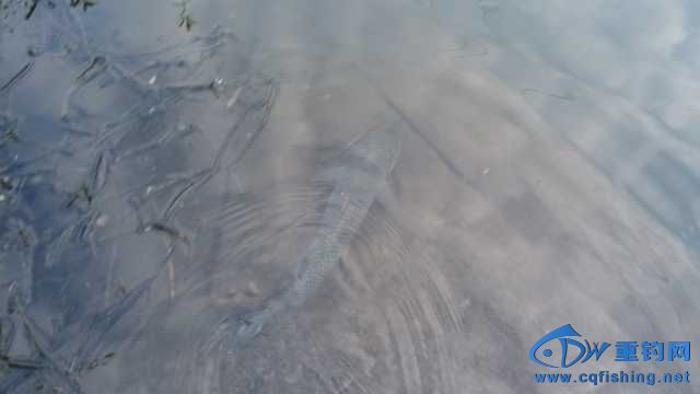 IMG_20131114_165953.jpg