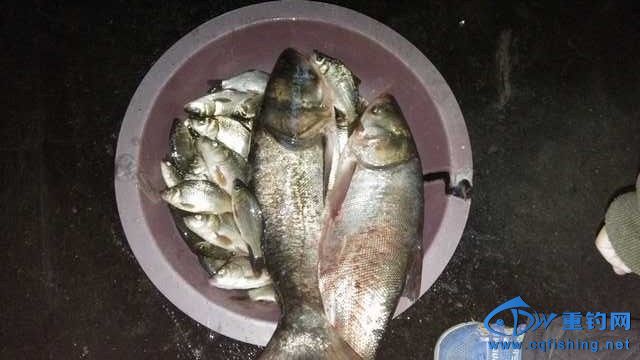 IMG_20131114_180642.jpg