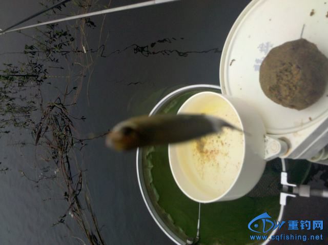 2013-11-09_08-20-47_918.jpg