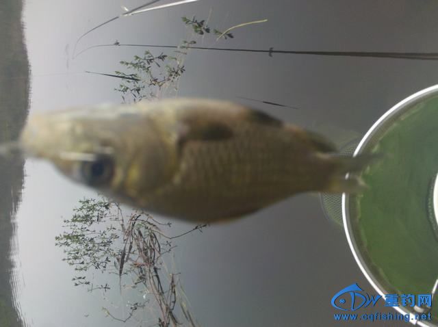 2013-11-09_08-53-20_540.jpg