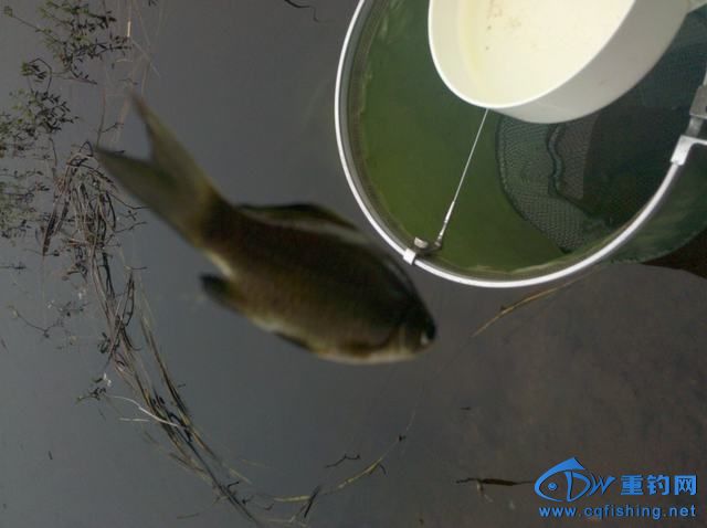 2013-11-09_10-12-08_668.jpg