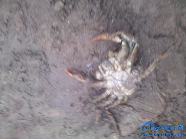 2013-11-09_11-09-51_429.jpg