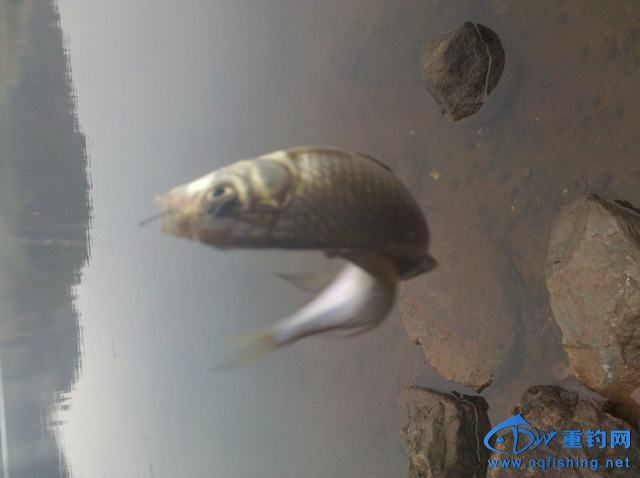 2013-11-09_14-46-14_640.jpg