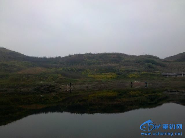 2013-11-09_15-13-14_802.jpg