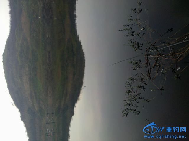 2013-11-09_16-37-31_566.jpg