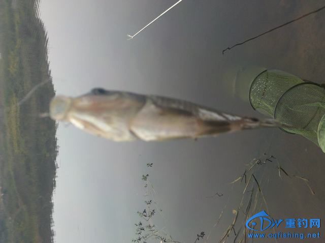 2013-11-09_16-48-04_173.jpg
