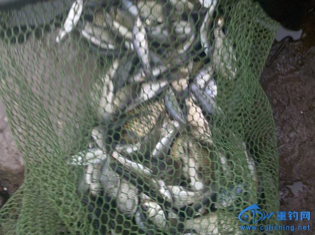 2013-11-09_16-52-12_85.jpg