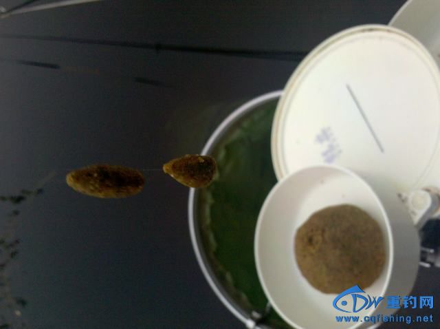 2013-11-09_07-38-01_212.jpg