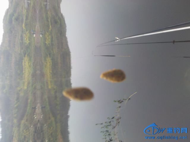 2013-11-09_07-38-12_344.jpg