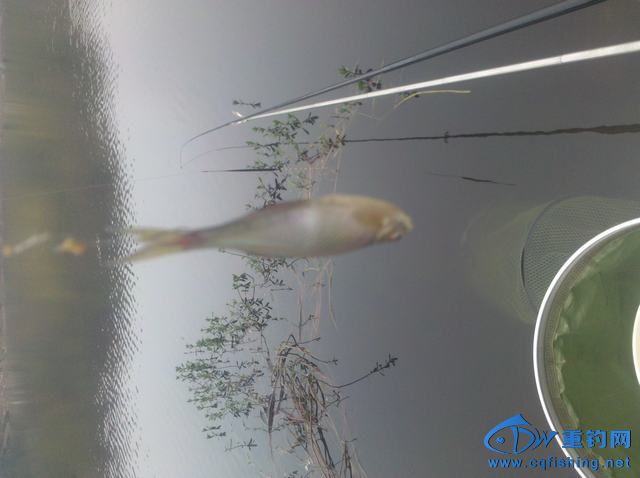 2013-11-09_08-41-17_980.jpg