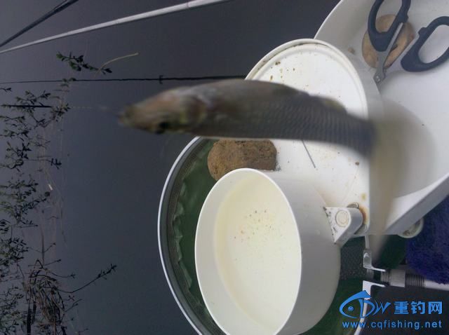 2013-11-09_08-48-20_311.jpg