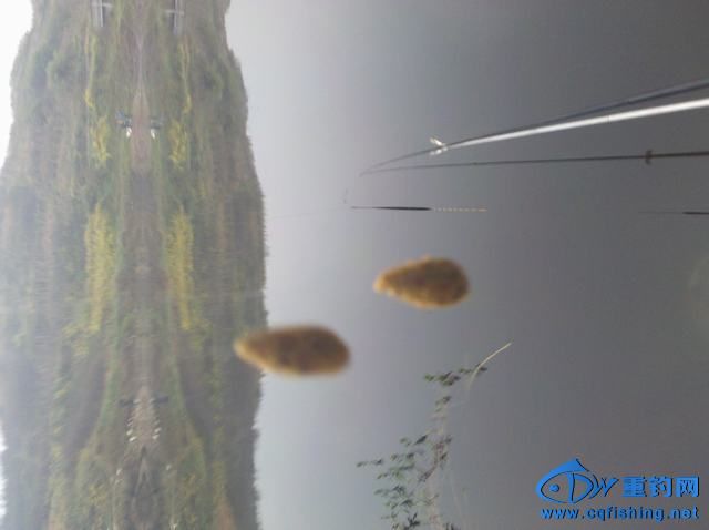 2013-11-09_07-38-12_344.jpg