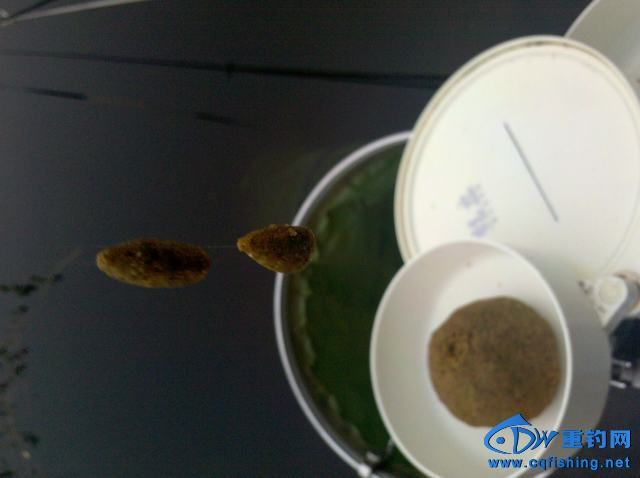 2013-11-09_07-38-01_212.jpg