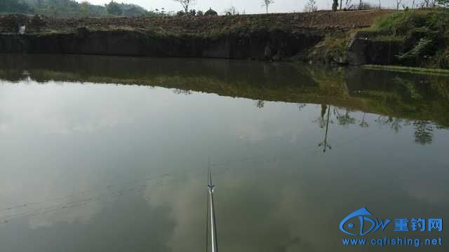 IMG_20131116_141022.jpg