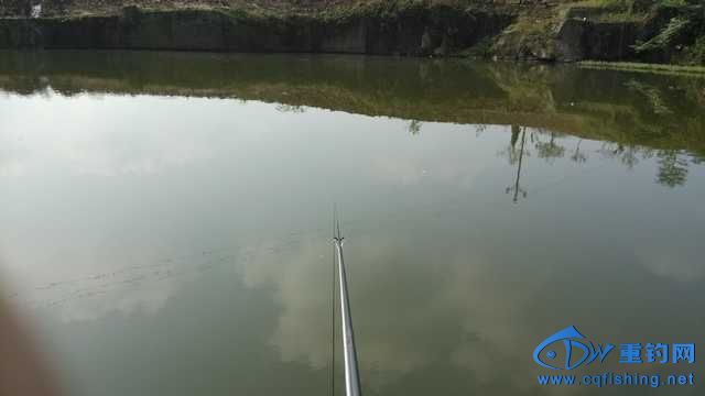 IMG_20131116_141033.jpg