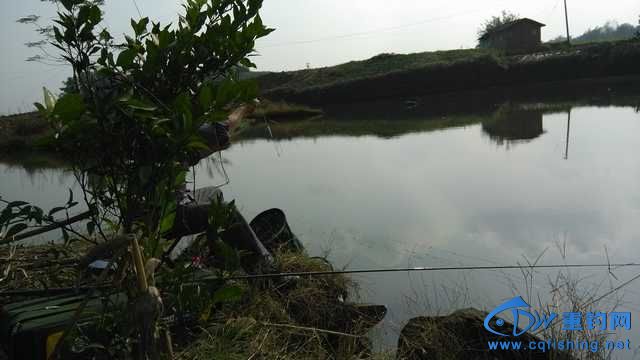 IMG_20131116_141735.jpg
