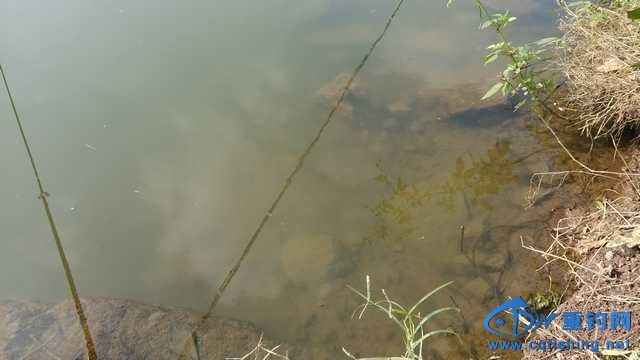 IMG_20131116_143612.jpg