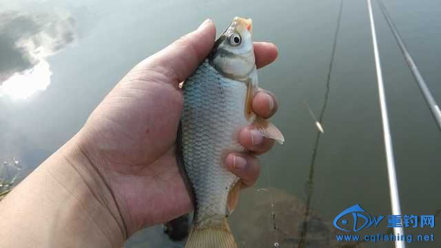 IMG_20131116_145402.jpg