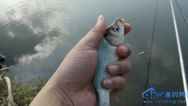 IMG_20131116_145912.jpg