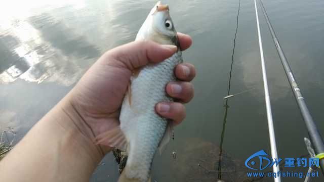 IMG_20131116_150503.jpg