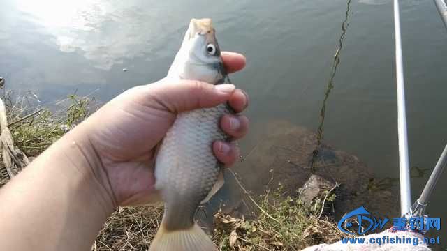 IMG_20131116_151713.jpg