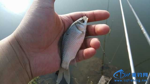 IMG_20131116_154112.jpg