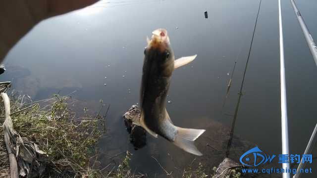 IMG_20131116_155544.jpg