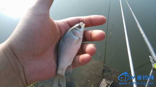 IMG_20131116_154117.jpg