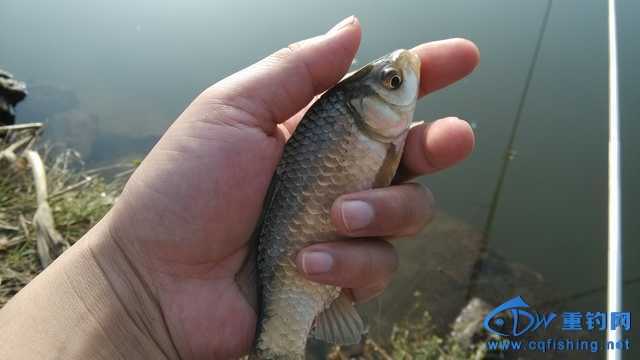 IMG_20131116_155558.jpg