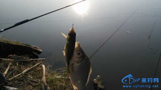 IMG_20131116_161301.jpg