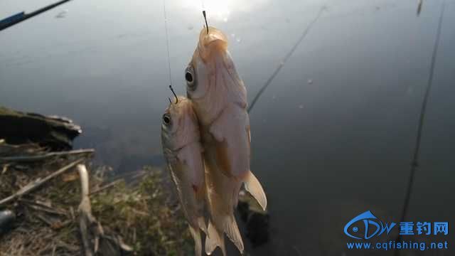 IMG_20131116_162405.jpg
