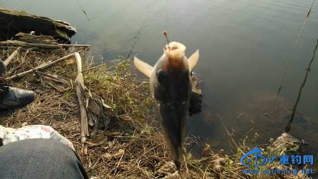 IMG_20131116_163451.jpg