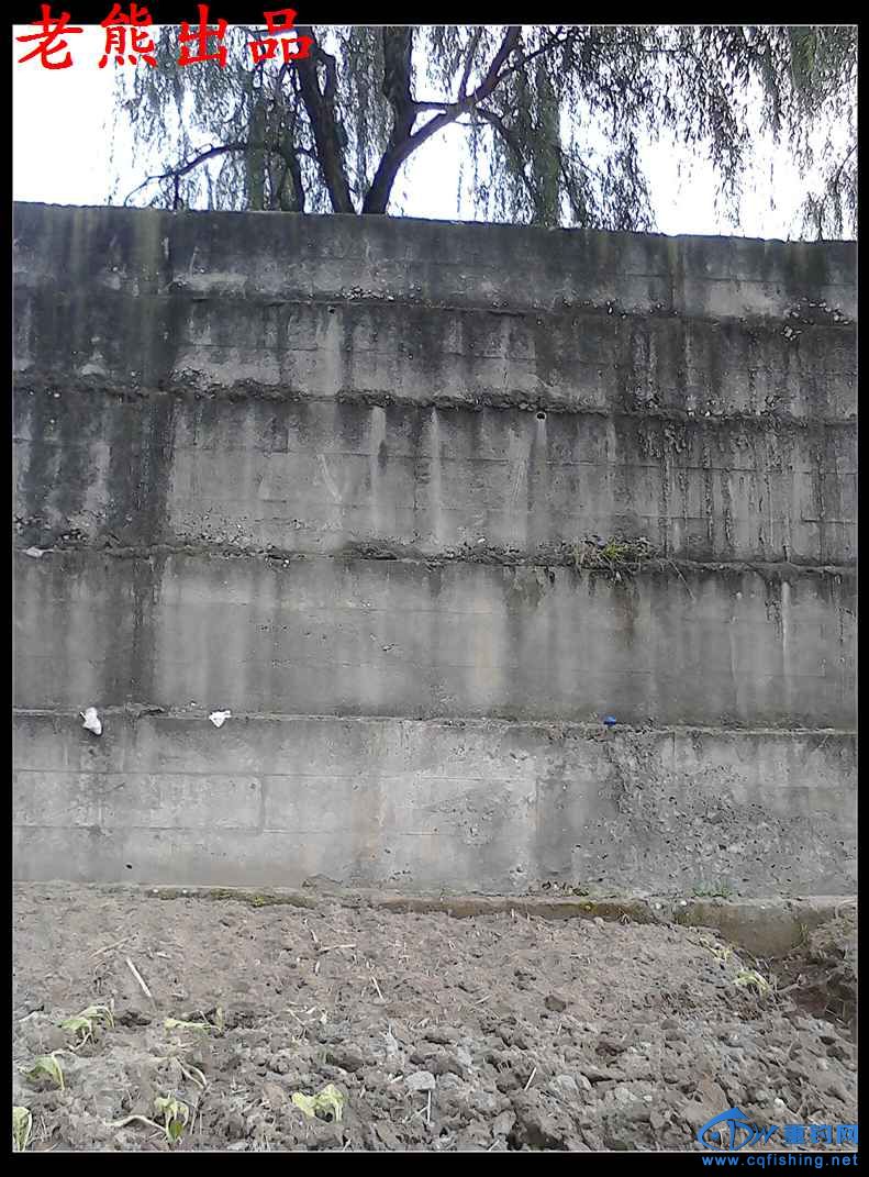 39.jpg