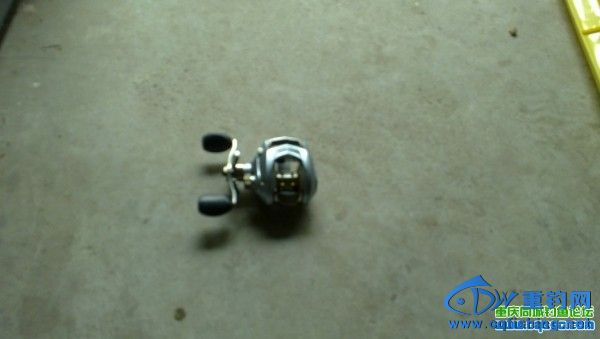 164012piztm5t1jq15011e[1].jpg