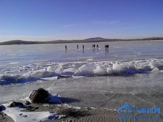IMG_20131215_093417.jpg