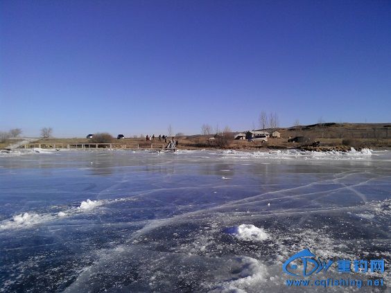 IMG_20131215_094314.jpg
