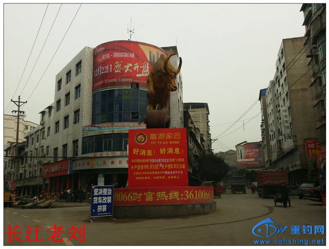 20131219_150115.jpg