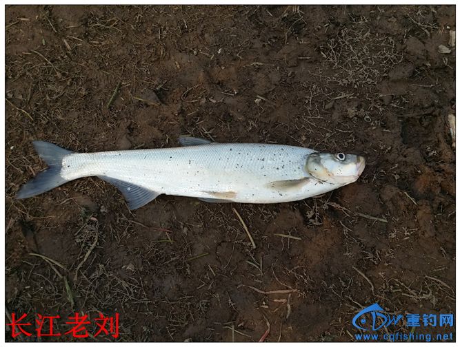 20131220_131210.jpg