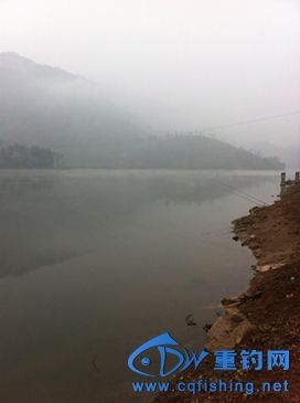 IMG_2977.jpg