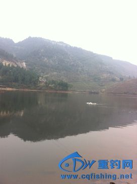 IMG_3017.jpg