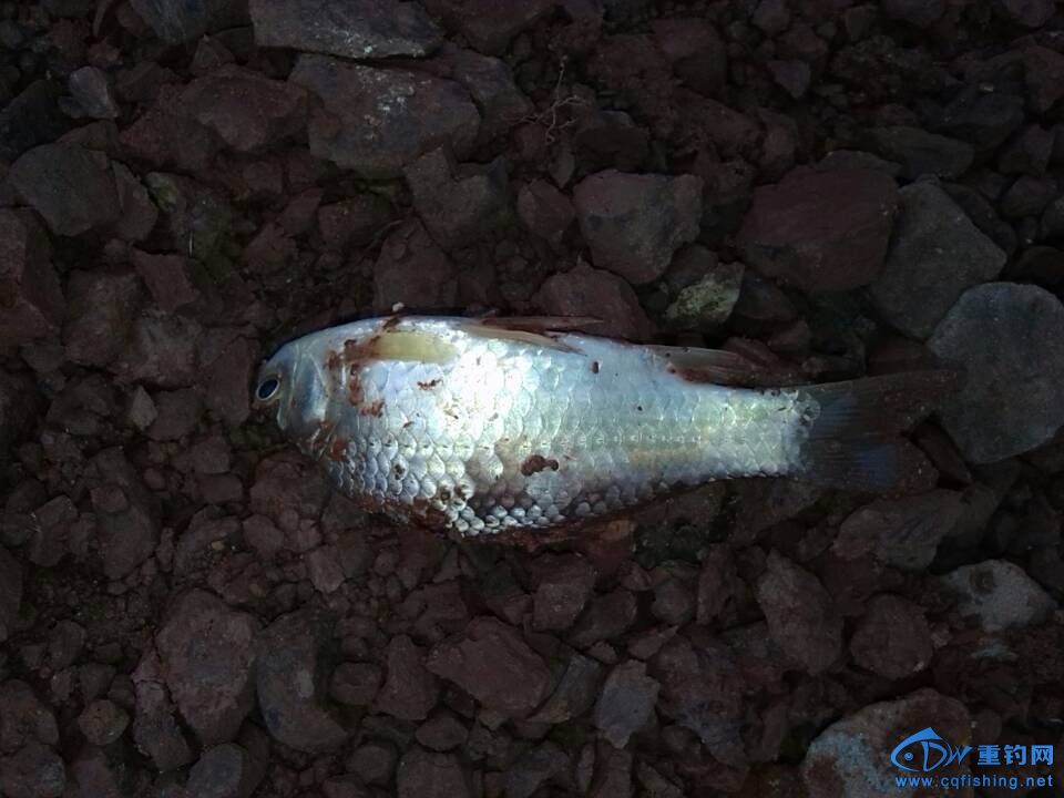 QQͼƬ20131222194933.jpg