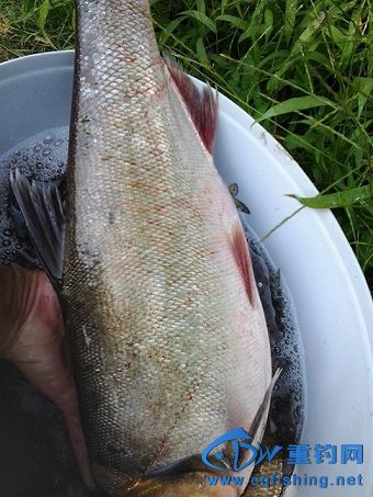 20131009_133649.jpg
