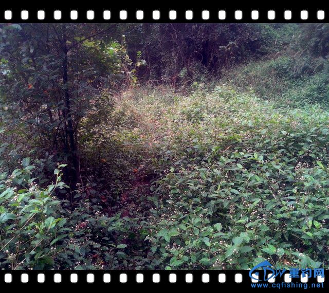 2013-11-06 12.15.48.jpg