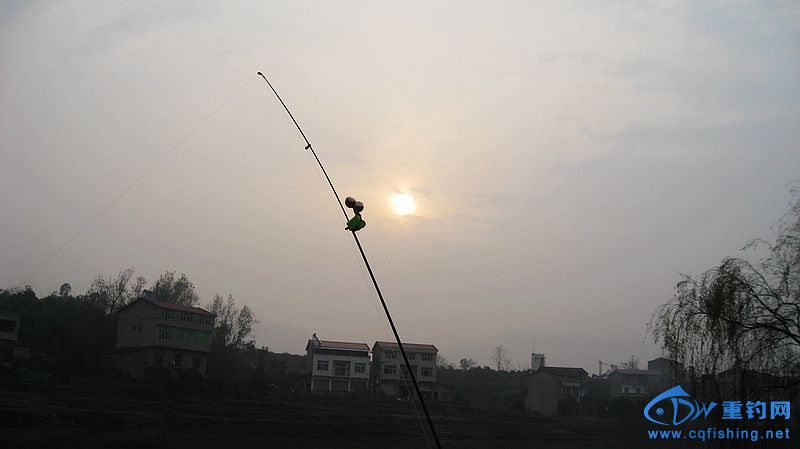 nEO_IMG_IMG_8363.jpg