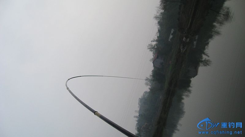 nEO_IMG_IMG_8364.jpg