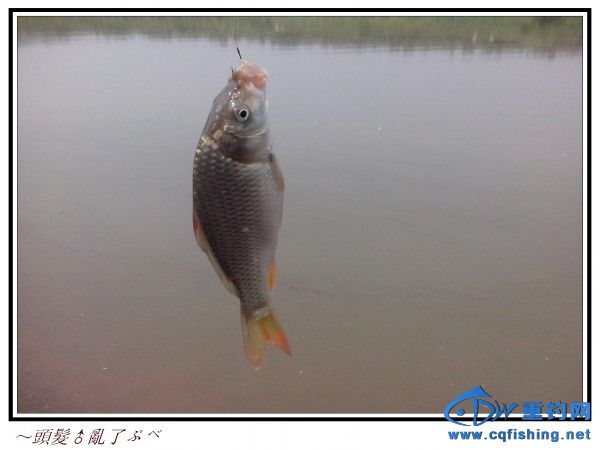 conew_img_20130907_103332.jpg